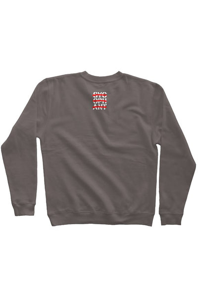  Pigment Dyed Crew Neck